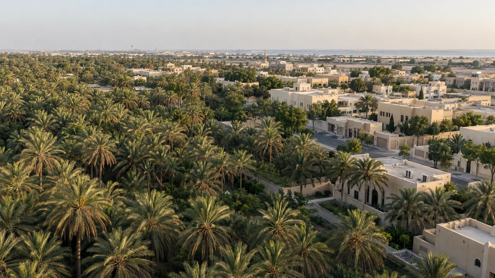 تصور بصري توضيحي للتصوير الجوي فوق واحة نخيل